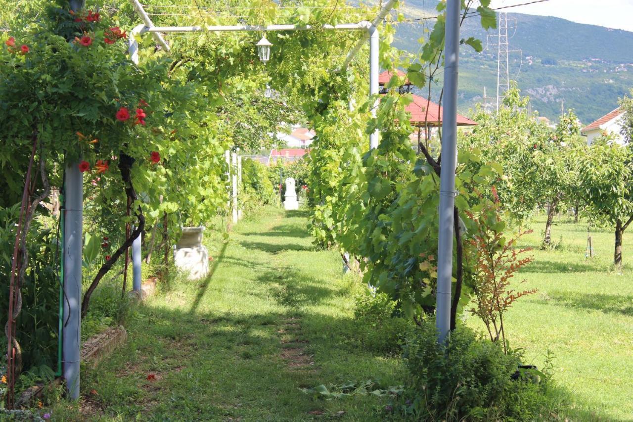 Vila Casa Botanica Blagaj Exteriér fotografie