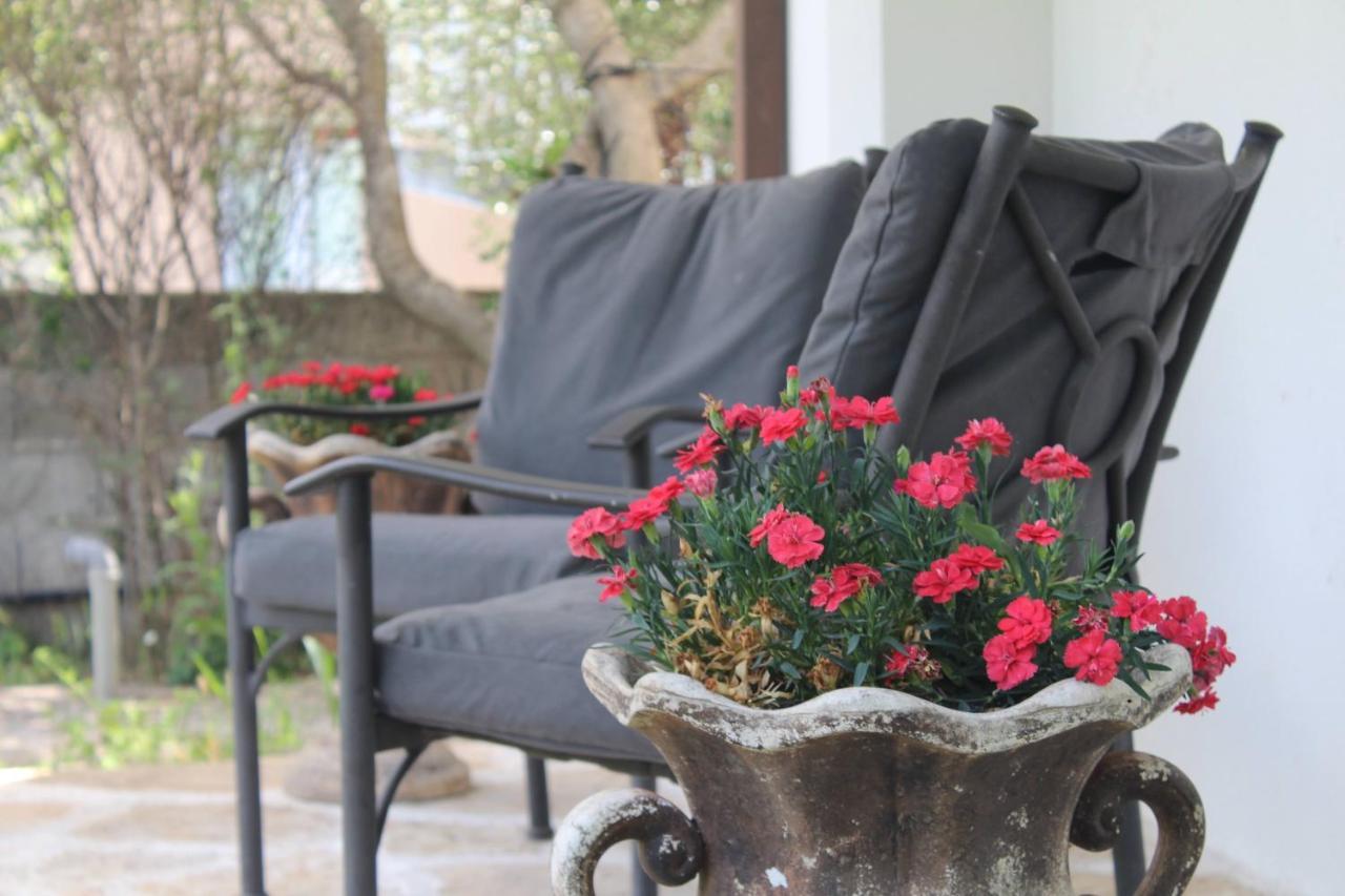 Vila Casa Botanica Blagaj Exteriér fotografie