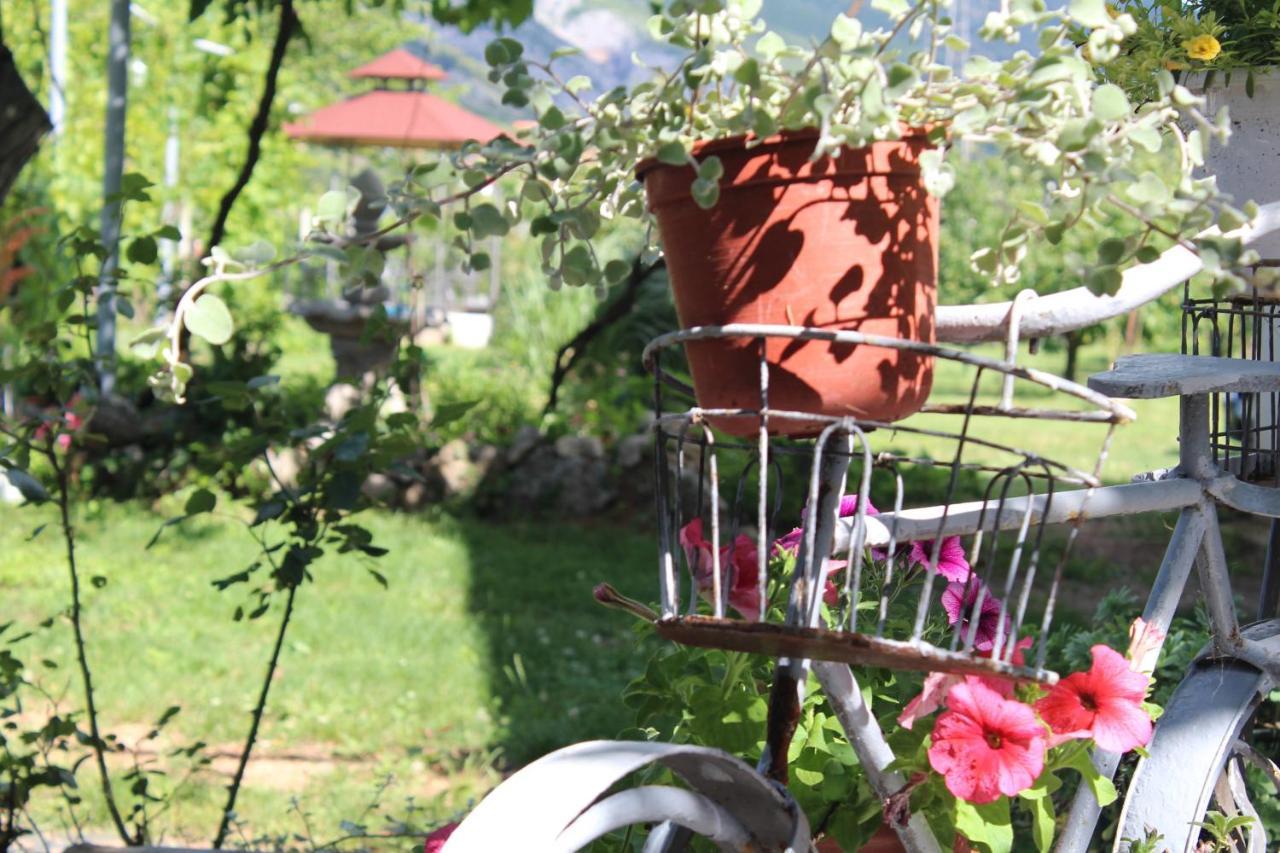 Vila Casa Botanica Blagaj Exteriér fotografie